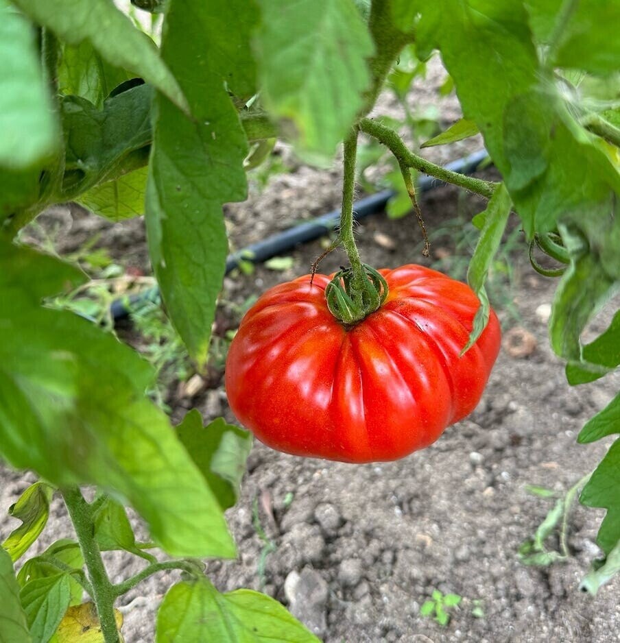 Facts And Figures To Enlighten And Entertain