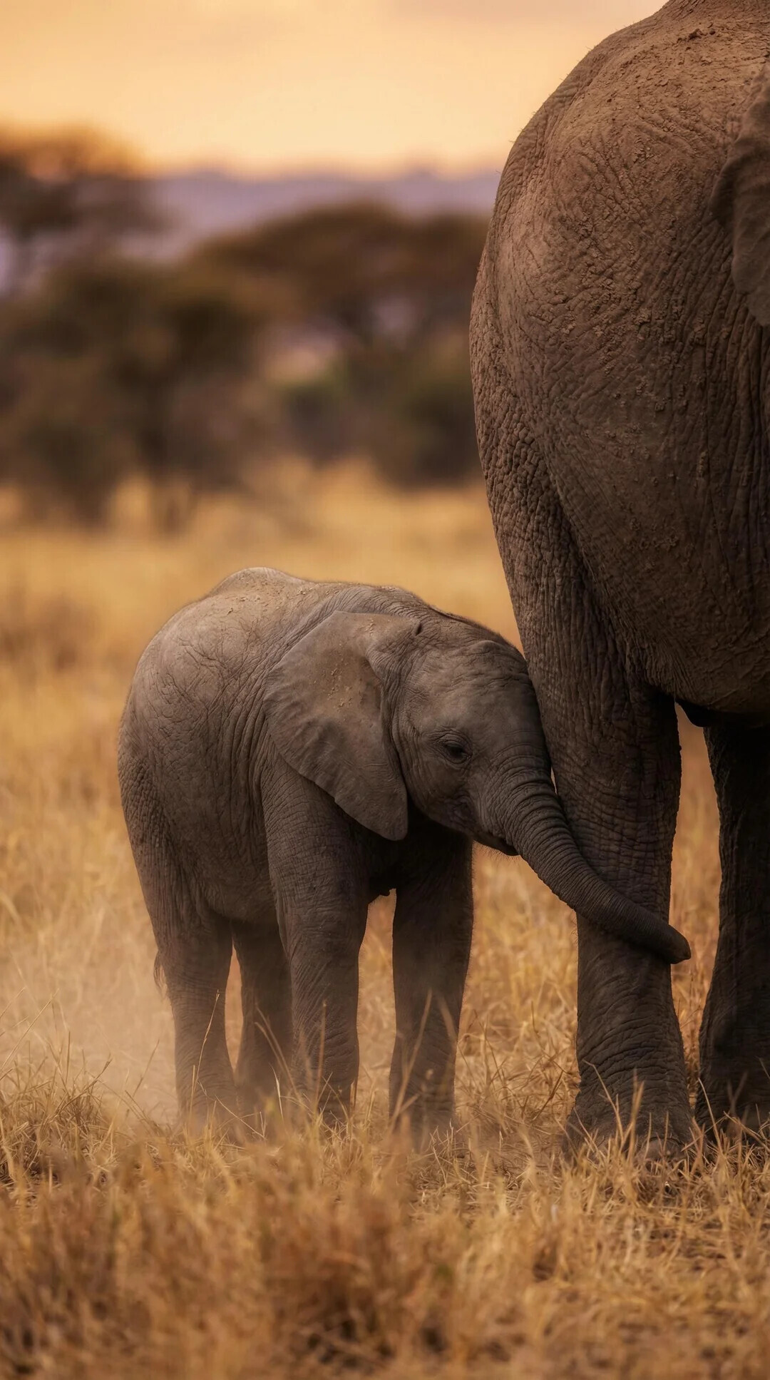 Some of the Week's Most Noteworthy Photos