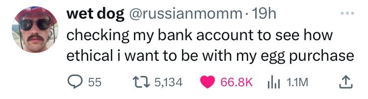 wet dog @russianmomm.19h checking my bank account to see how ethical i want to be with my egg purchase 55 5,134 66.8K del 1.1M