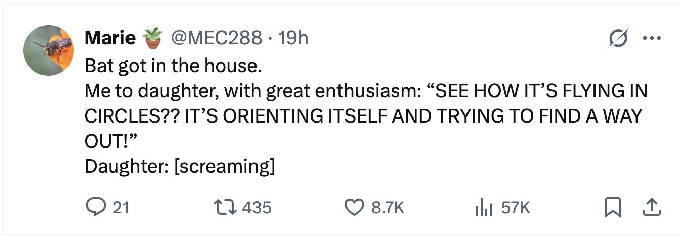 Marie @MEC288 19h ... Bat got in the house. Me to daughter, with great enthusiasm: SEE HOW IT'S FLYING IN CIRCLES?? IT'S ORIENTING ITSELF AND TRYING TO FIND A WAY OUT! Daughter:  21 435 8.7K 57K 