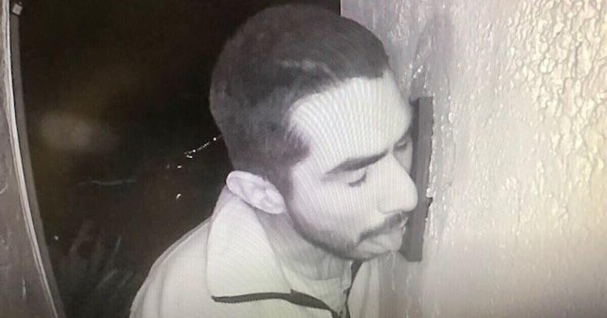 Failed Criminals Who Didn't Think Their Plans Through