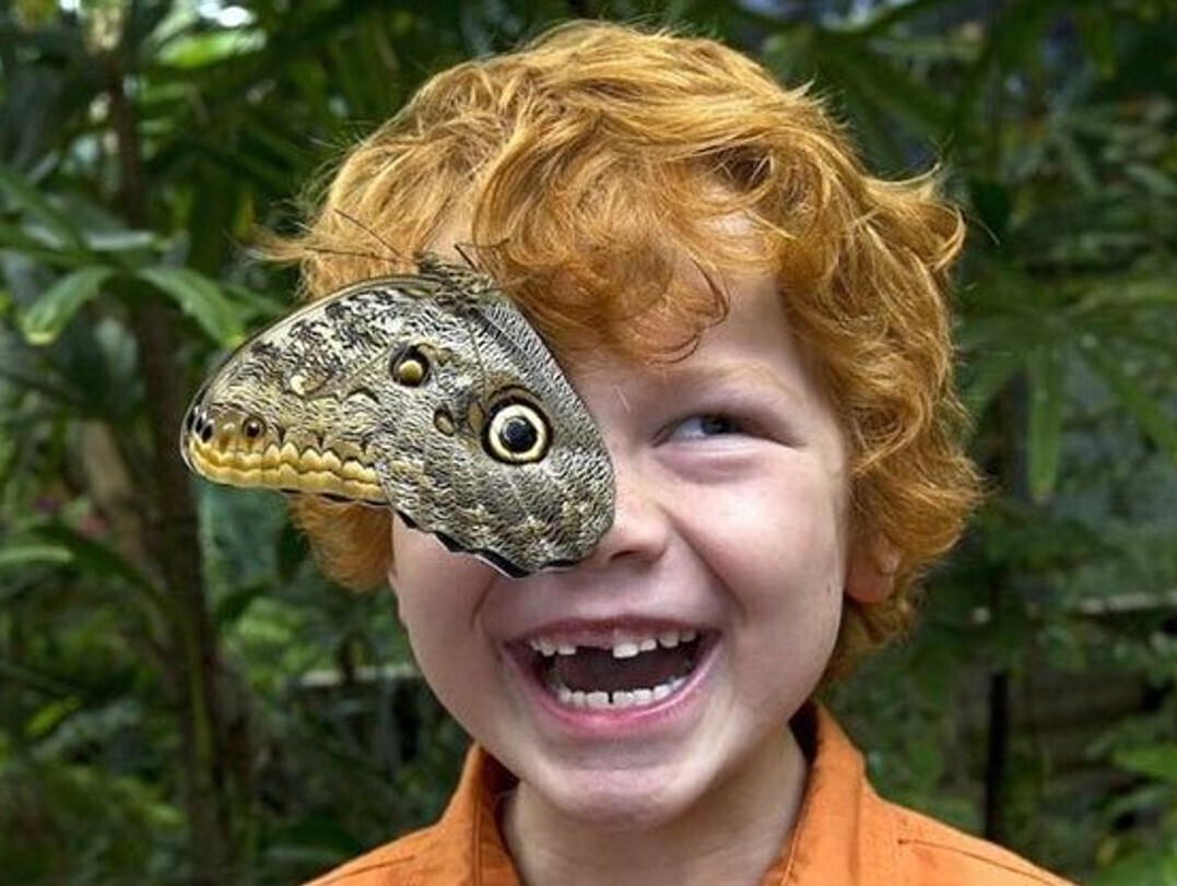 Gripping Photos of All Kinds Around the World