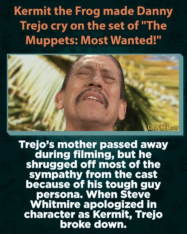 Kermit the Frog made Danny Trejo cry on the set of The Muppets: Most Wanted! CRACKED.COM Trejo's mother passed away during filming, but he shrugged off most of the sympathy from the cast because of his tough guy persona. When Steve Whitmire apologized in character as Kermit, Trejo broke down.