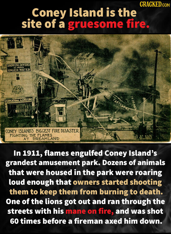 CRACKED.COM Coney Island is the site of a gruesome fire. SHOWING DIVERS AT WORK UNDER WATER 12 TONE HISTORICAL FASTESPAR EDUCATIONAL & AMUSING CONEY ISLAND'S BIGGEST FIRE DISASTER FIGHTING THE FLAMES AT DREAMLAND In 1911, flames engulfed Coney Island's grandest amusement park. Dozens of animals that were housed in the park were roaring loud enough that owners started shooting them to keep them from burning to death. One of the lions got out and ran through the streets with his mane on fire, and was shot 60 times before a fireman axed him down.