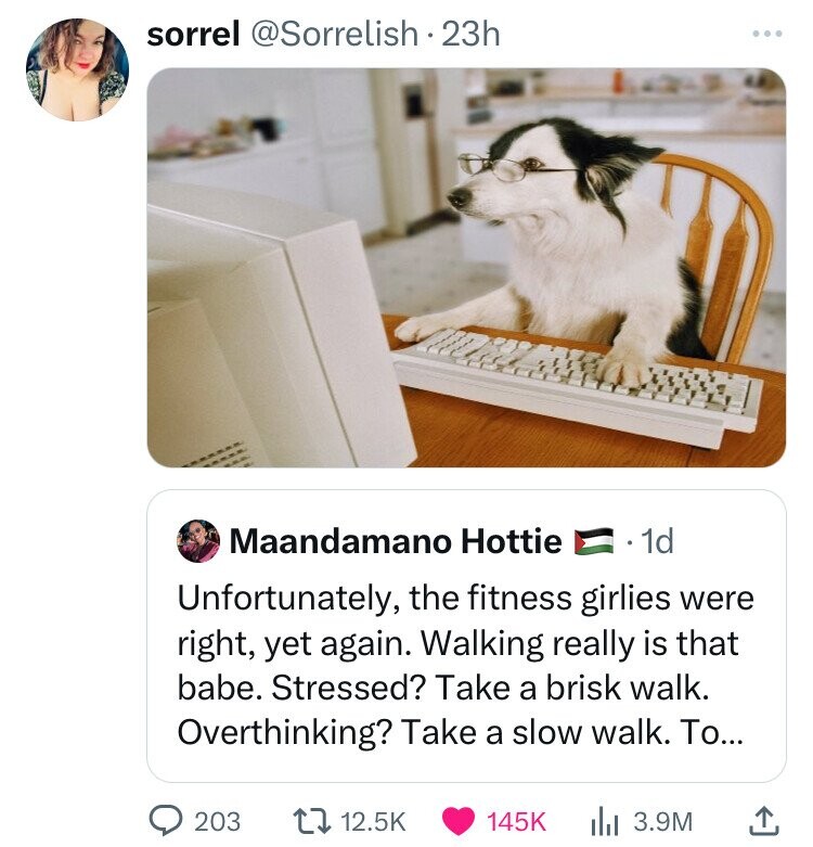 sorrel @Sorrelish . 23h Maandamano Hottie 1d Unfortunately, the fitness girlies were right, yet again. Walking really is that babe. Stressed? Take a brisk walk. Overthinking? Take a slow walk. To... 203 12.5K 145K 3.9M