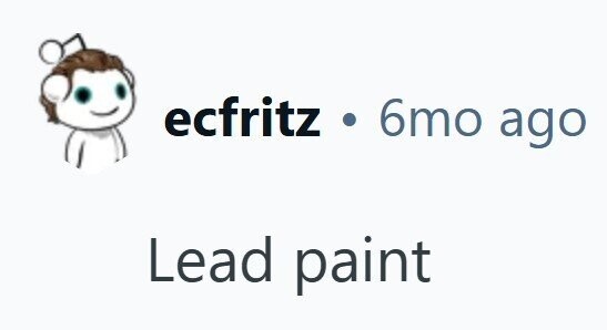 ecfritz . 6mo ago Lead paint