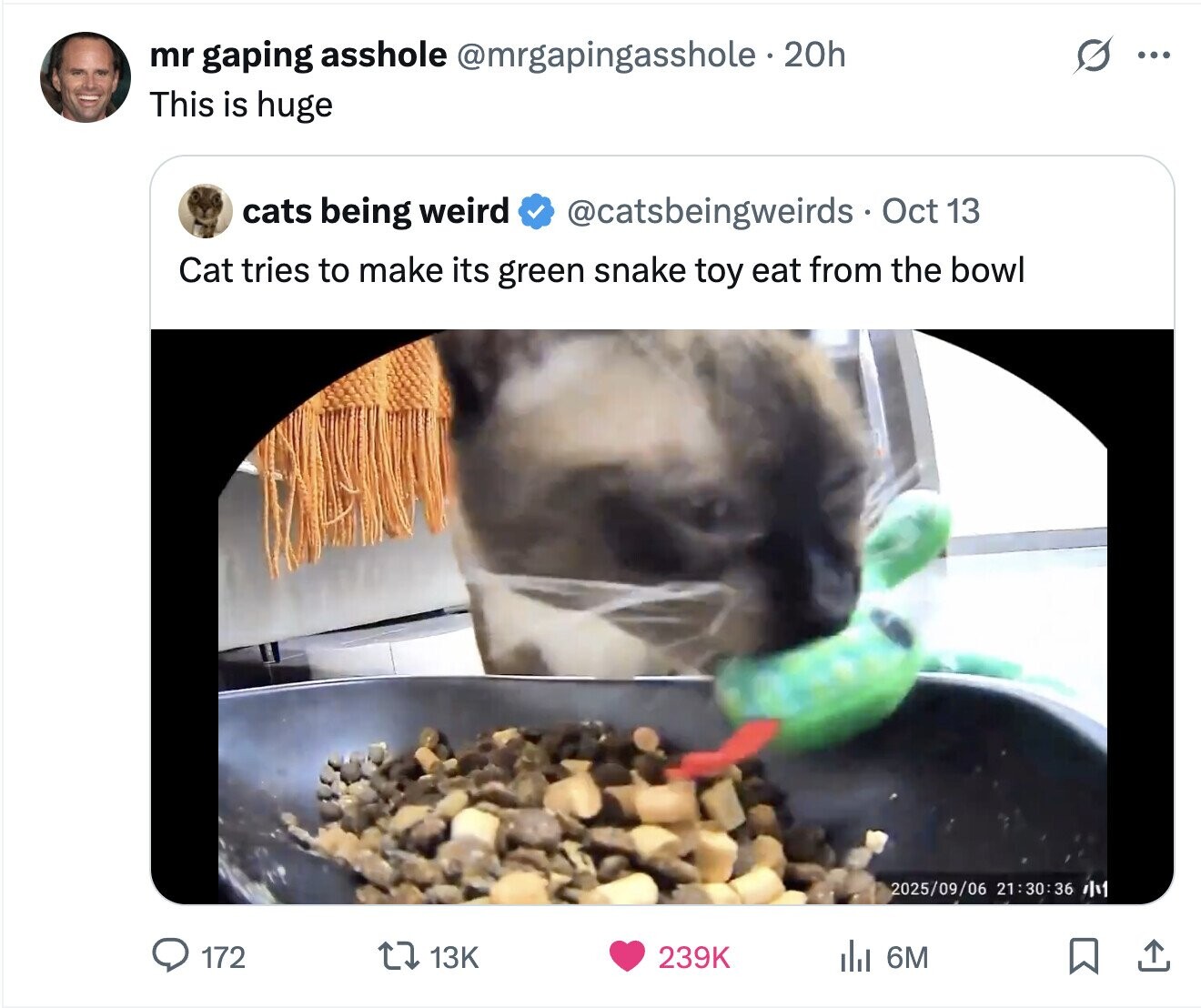 mr gaping asshole @mrgapingasshole e 20h ... This is huge cats being weird @catsbeingweirds Oct 13 Cat tries to make its green snake toy eat from the bowl 2025/09/06 21:30:36 /lv 172 13K 239K del 6M 