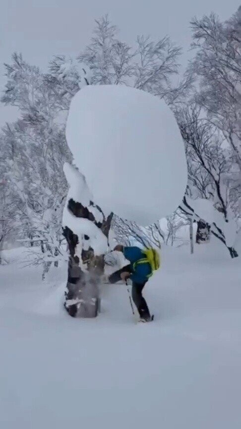 Photos Where the Only Next Possible Outcome is Bad