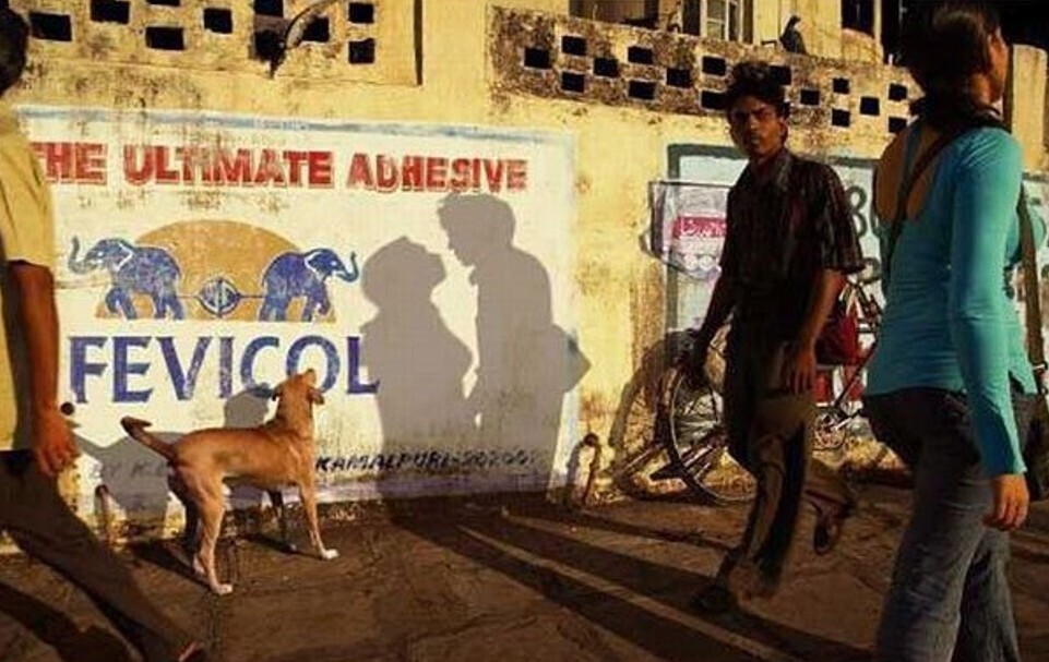 Gripping Photos of All Kinds Around the World