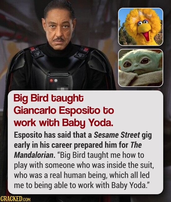 Big Bird taught Giancarlo Esposito to work with Baby Yoda. Esposito has said that a Sesame Street gig early in his career prepared him for The Mandalorian. Big Bird taught me how to play with someone who was inside the suit, who was a real human being, which all led me to being able to work with Baby Yoda.