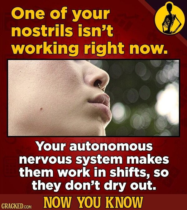 One of your nostrils isn't working right now. Your autonomous nervous system makes them work in shifts, so they don't dry out. NOW YOU KNOW CRACKED.COM