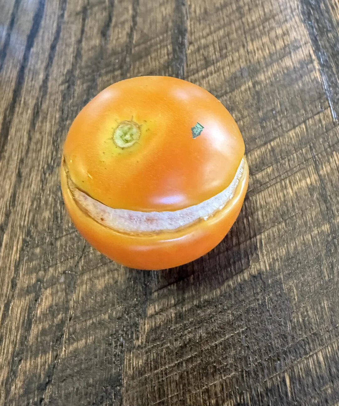 Unlikely Coincidences Captured in Real Life