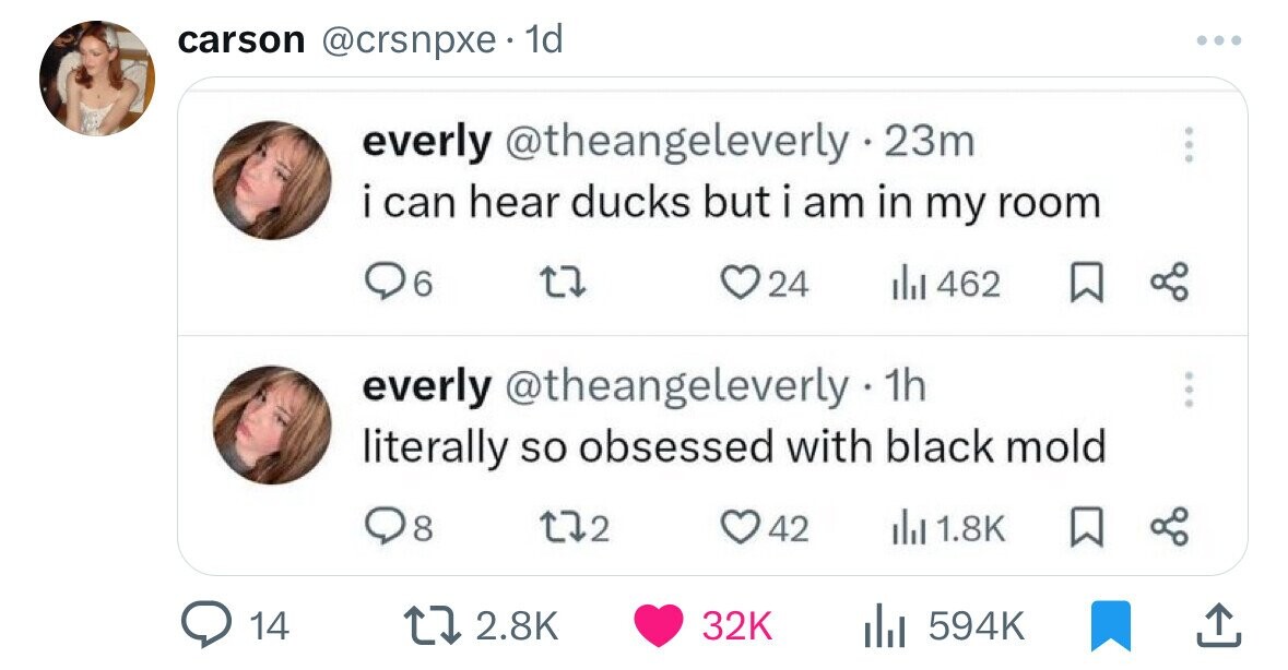 carson @crsnpxe 1d ... everly @theangeleverly 23m i can hear ducks but i am in my room 6 24 del 462 everly @theangeleverly . 1h literally so obsessed with black mold 8 2 42 del 1.8K 2.8K 32K 14 594K
