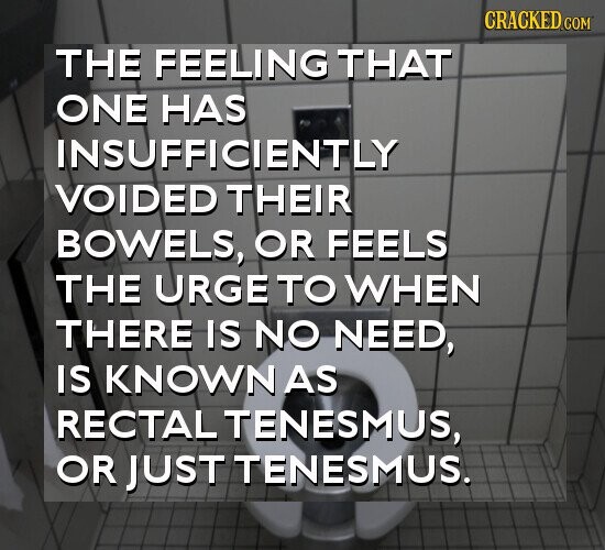 CRACKED.COM THE FEELING THAT ONE HAS INSUFFICIENTLY VOIDED THEIR BOWELS, OR FEELS THE URGE TO WHEN THERE IS NO NEED, IS KNOWN AS RECTAL TENESMUS, OR JUST TENESMUS.