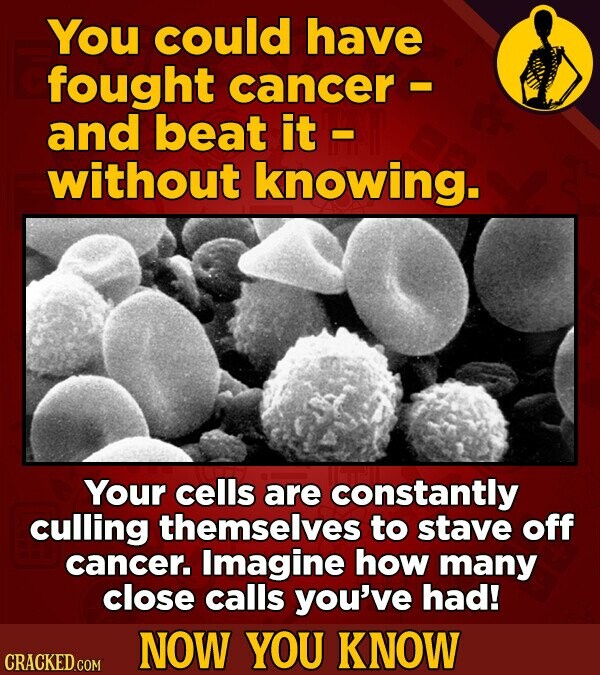 You could have fought cancer- and beat it - without knowing. Your cells are constantly culling themselves to stave off cancer. Imagine how many close calls you've had! NOW YOU KNOW CRACKED.COM
