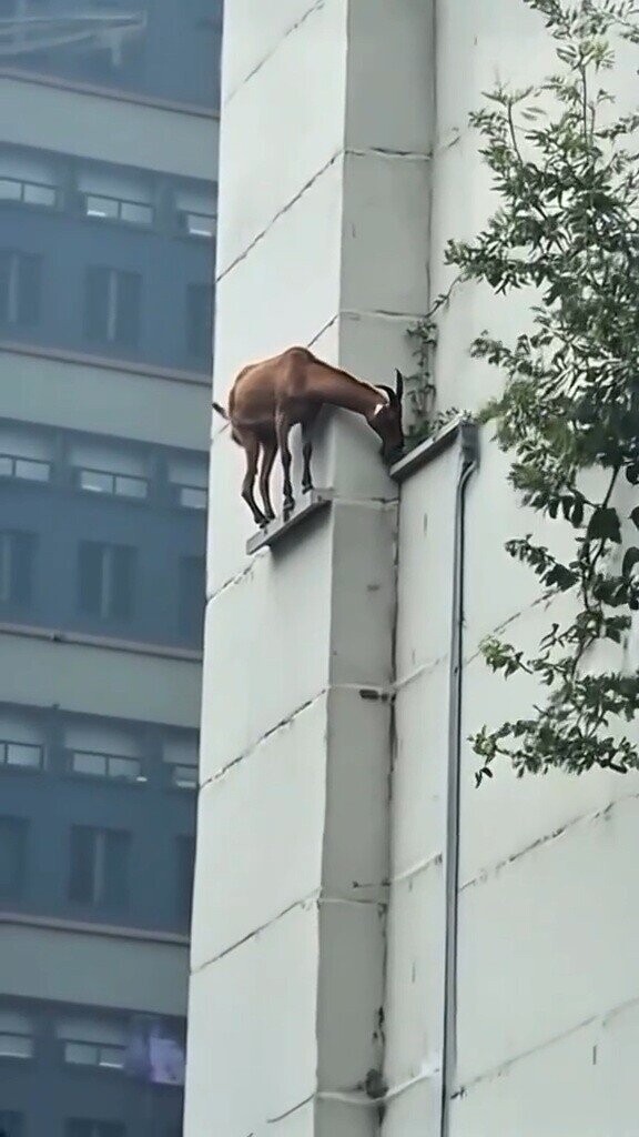 Photos Where the Only Next Possible Outcome is Bad