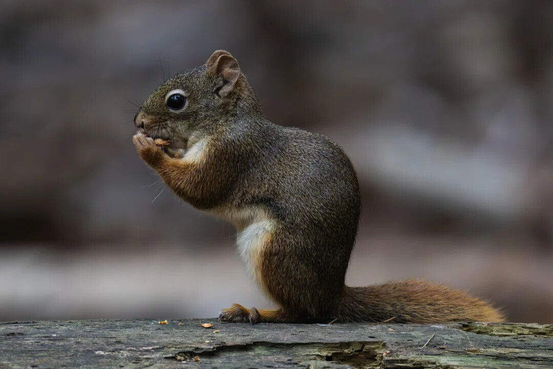 Unlikely Coincidences Captured in Real Life