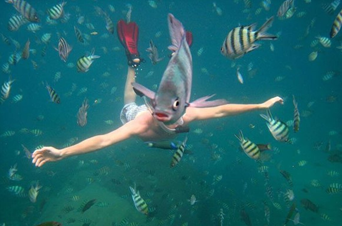 Gripping Photos of All Kinds Around the World