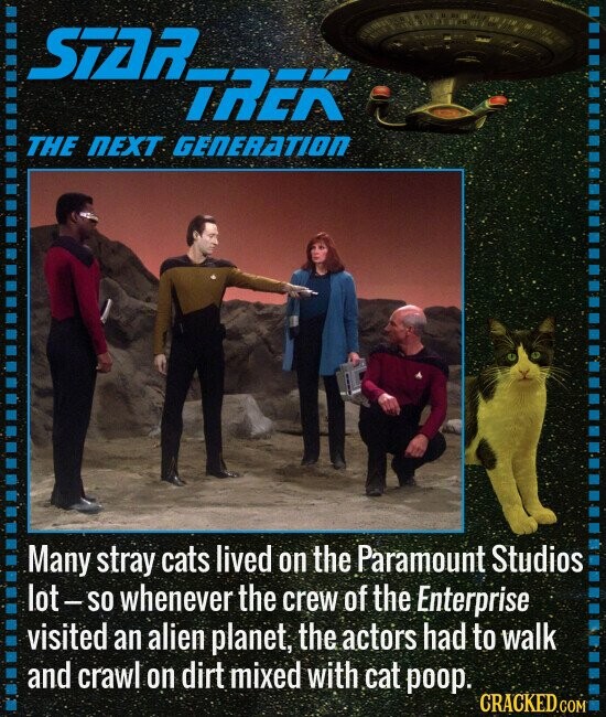 STOR. TREK THE NEXT GENERATION Many stray cats lived on the Paramount Studios lot- SO whenever the crew of the Enterprise visited an alien planet, the actors had to walk and crawl on dirt mixed with cat poop. CRACKED.COM