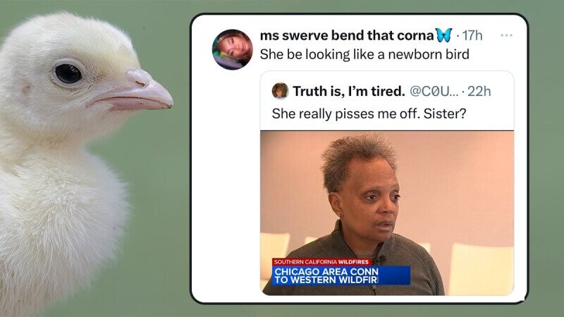 43 of the Funniest Burns from the Week of January 13, 2025