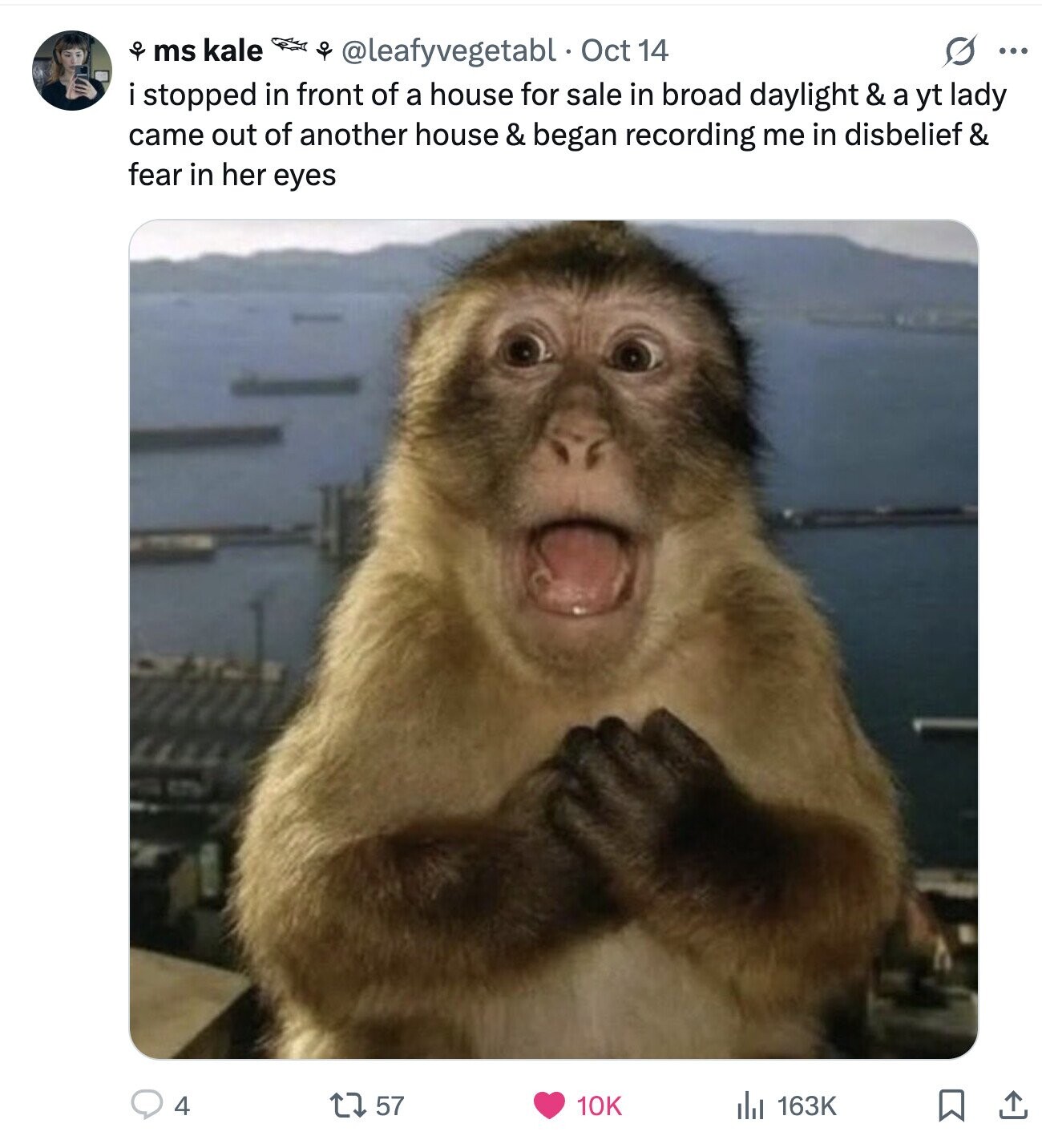 of ms kale S ... @leafyvegetabl Oct 14 stopped in front of a house for sale in broad daylight & a yt lady came out of another house & began recording me in disbelief & fear in her eyes 4 57 10K del 163K 