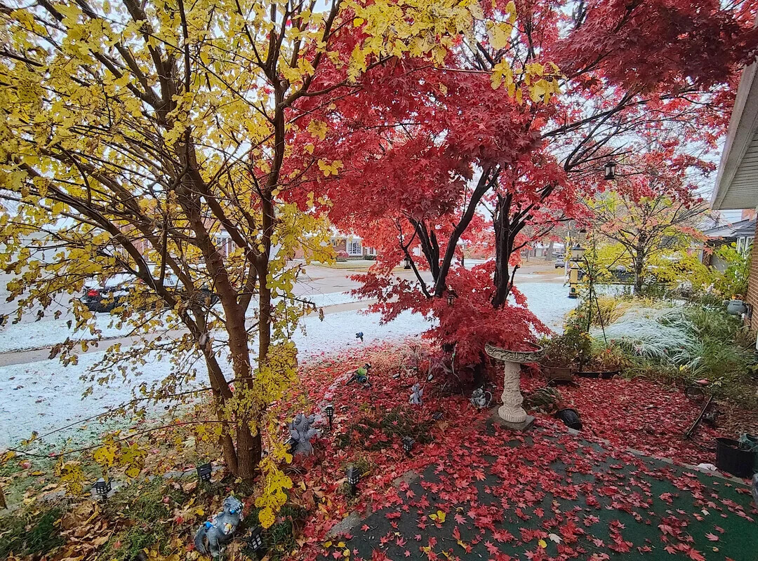 Unlikely Coincidences Captured in Real Life