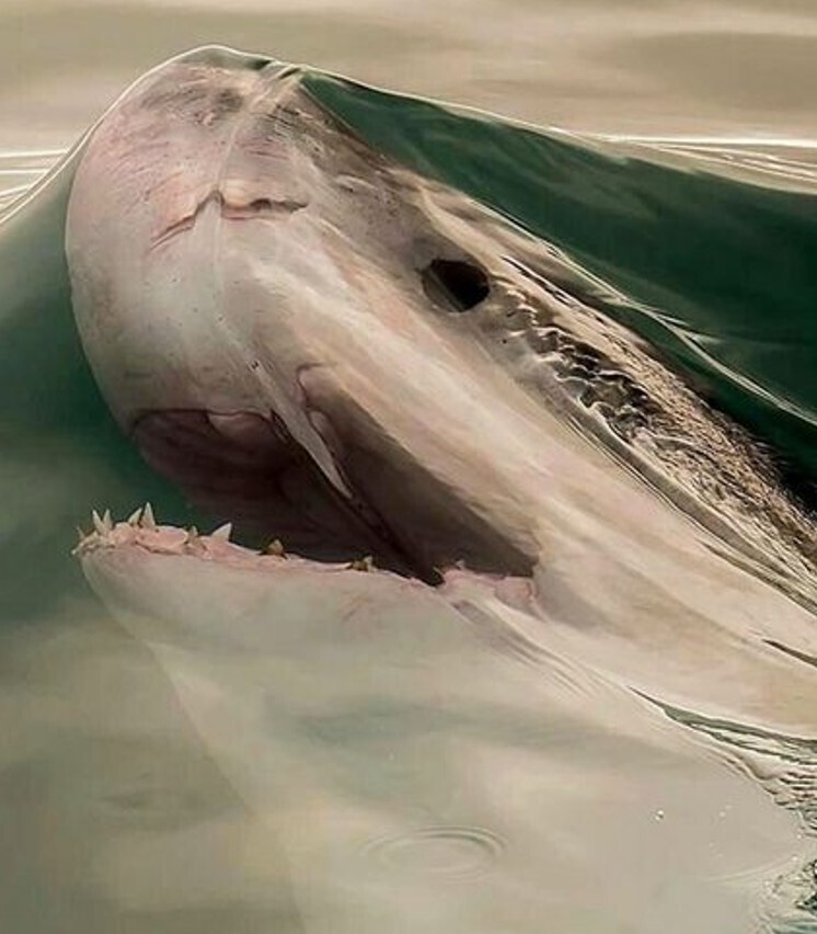 Gripping Photos of All Kinds Around the World