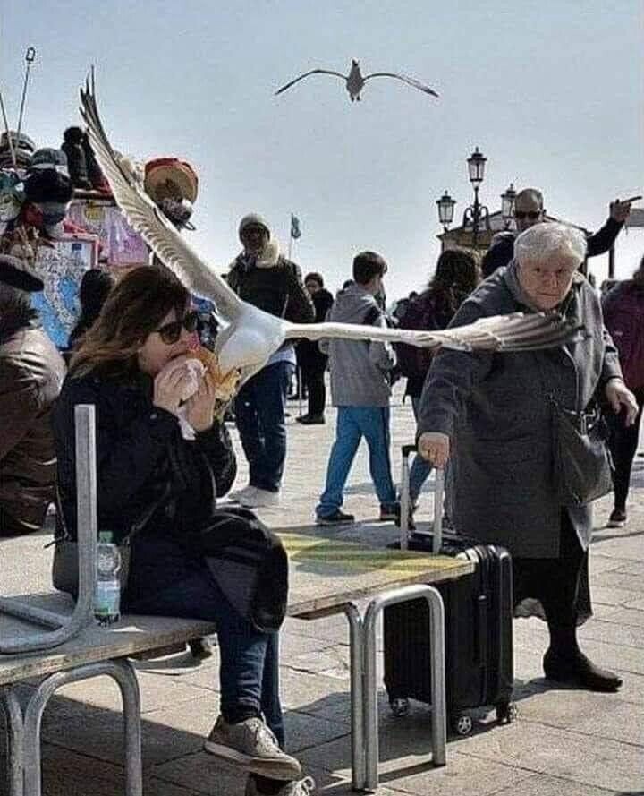 People Who Ignored All the Warning Signs