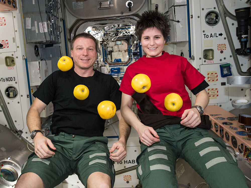 15 People Who Definitely Didn’t Lie on Their Resume