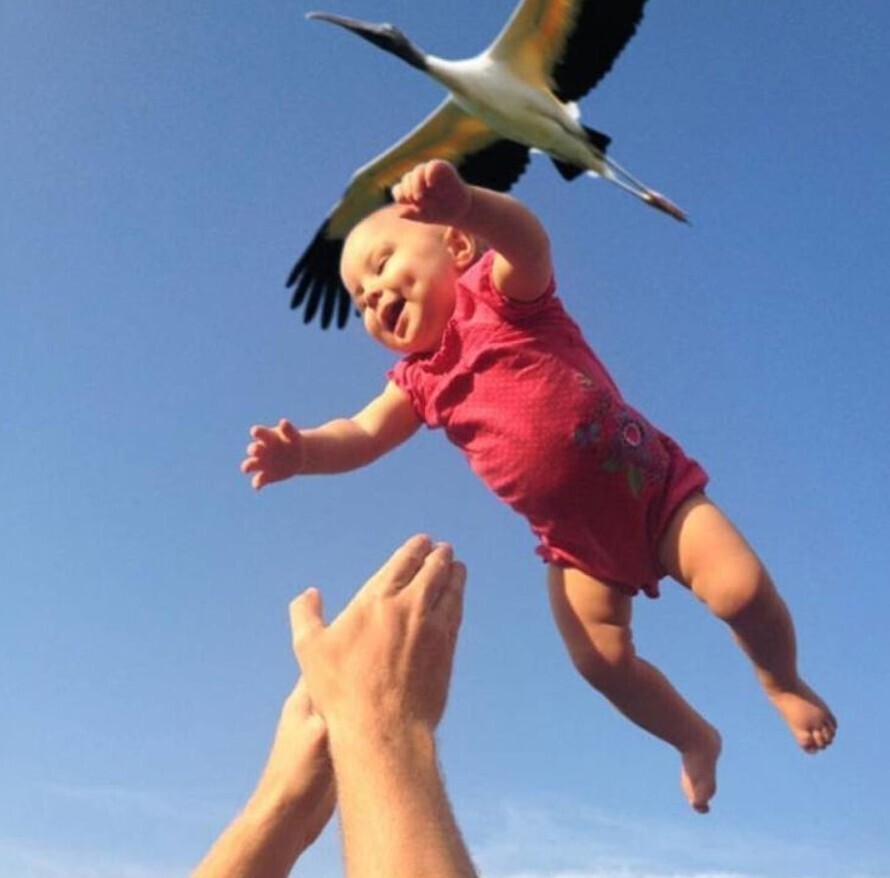 Gripping Photos of All Kinds Around the World