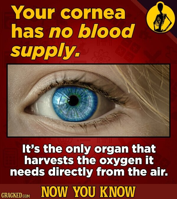 Your cornea has no blood supply. It's the only organ that harvests the oxygen it needs directly from the air. NOW YOU KNOW CRACKED.COM