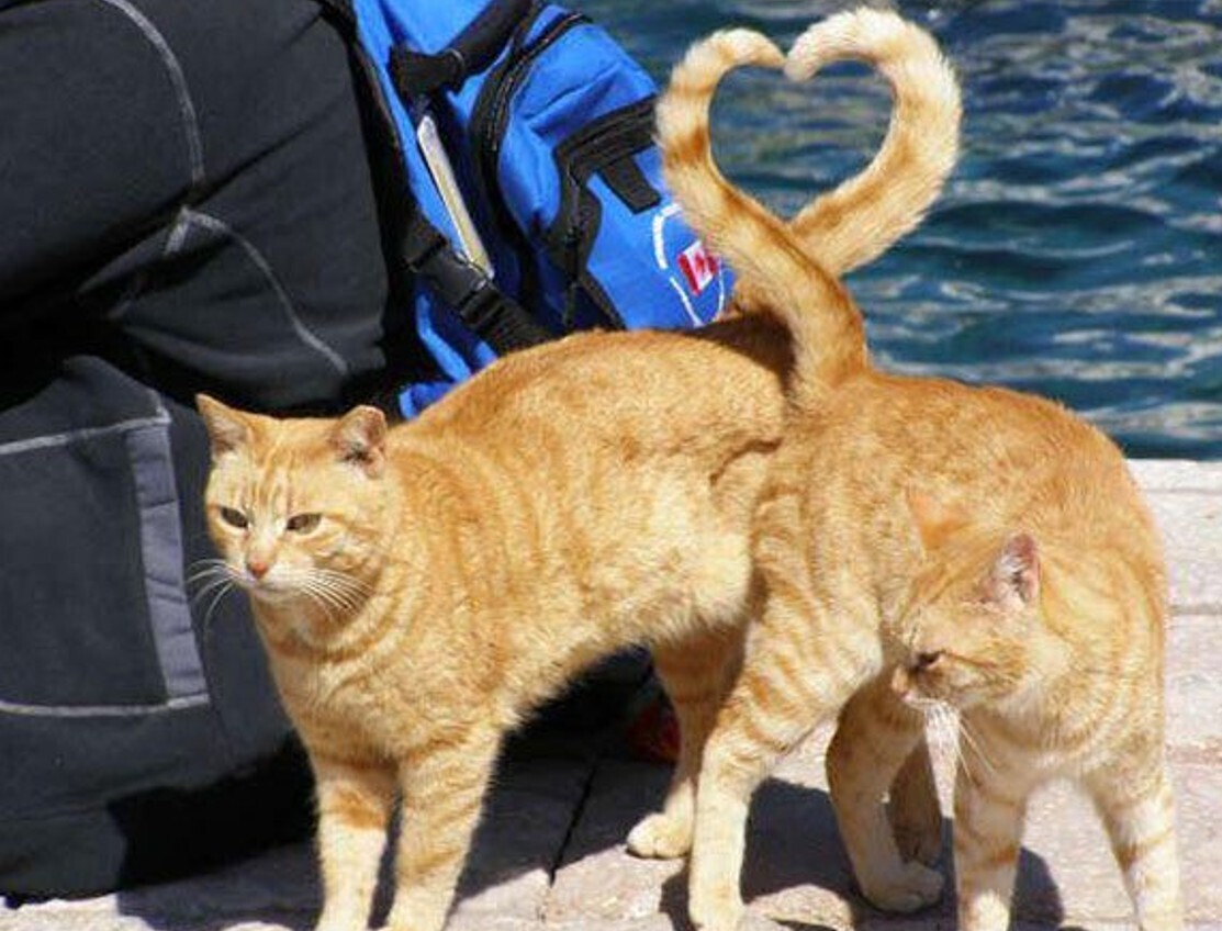 Gripping Photos of All Kinds Around the World