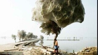 31 Disturbing Facts That Keep Us Awake At Night