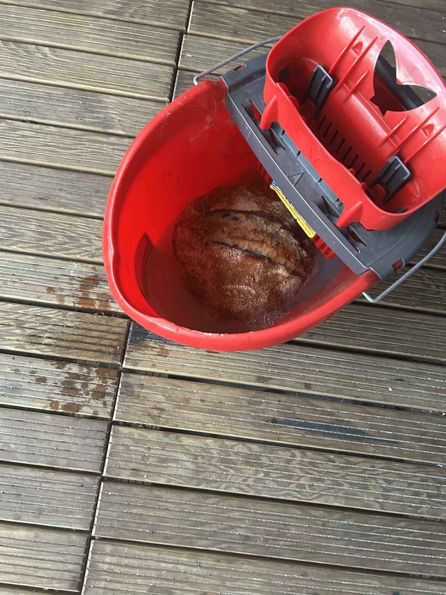 Unlucky People Who Should Have Gone Back to Bed