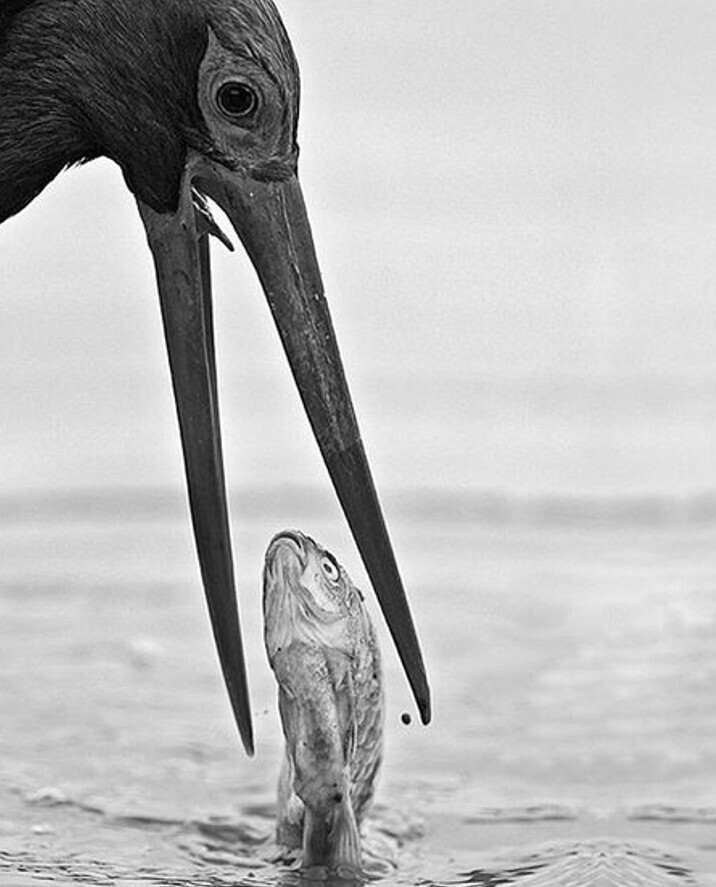 Gripping Photos of All Kinds Around the World