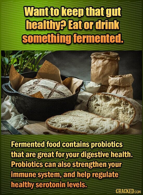 Want to keep that gut healthy? Eat or drink something fermented. Fermented food contains probiotics that are great for your digestive health. Probiotics can also strengthen your immune system, and help regulate healthy serotonin levels. CRACKED COM
