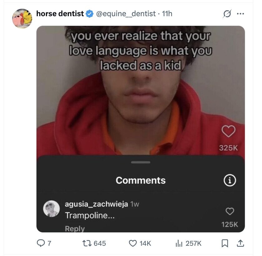 horse dentist @equine_dentist • 1 11h s ... you ever realize that your love language is what you lacked as a kid 325K Comments i agusia_zachwieja 1w Trampoline... 125K Reply 7 645 14K del 257K