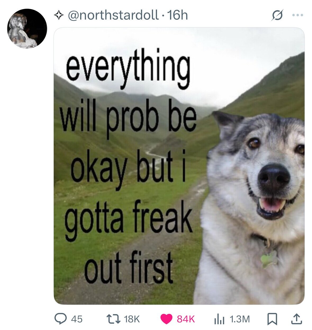 @northstardoll.16h G ... everything will prob be okay but i gotta freak out first 45 18K 84K 1.3M 