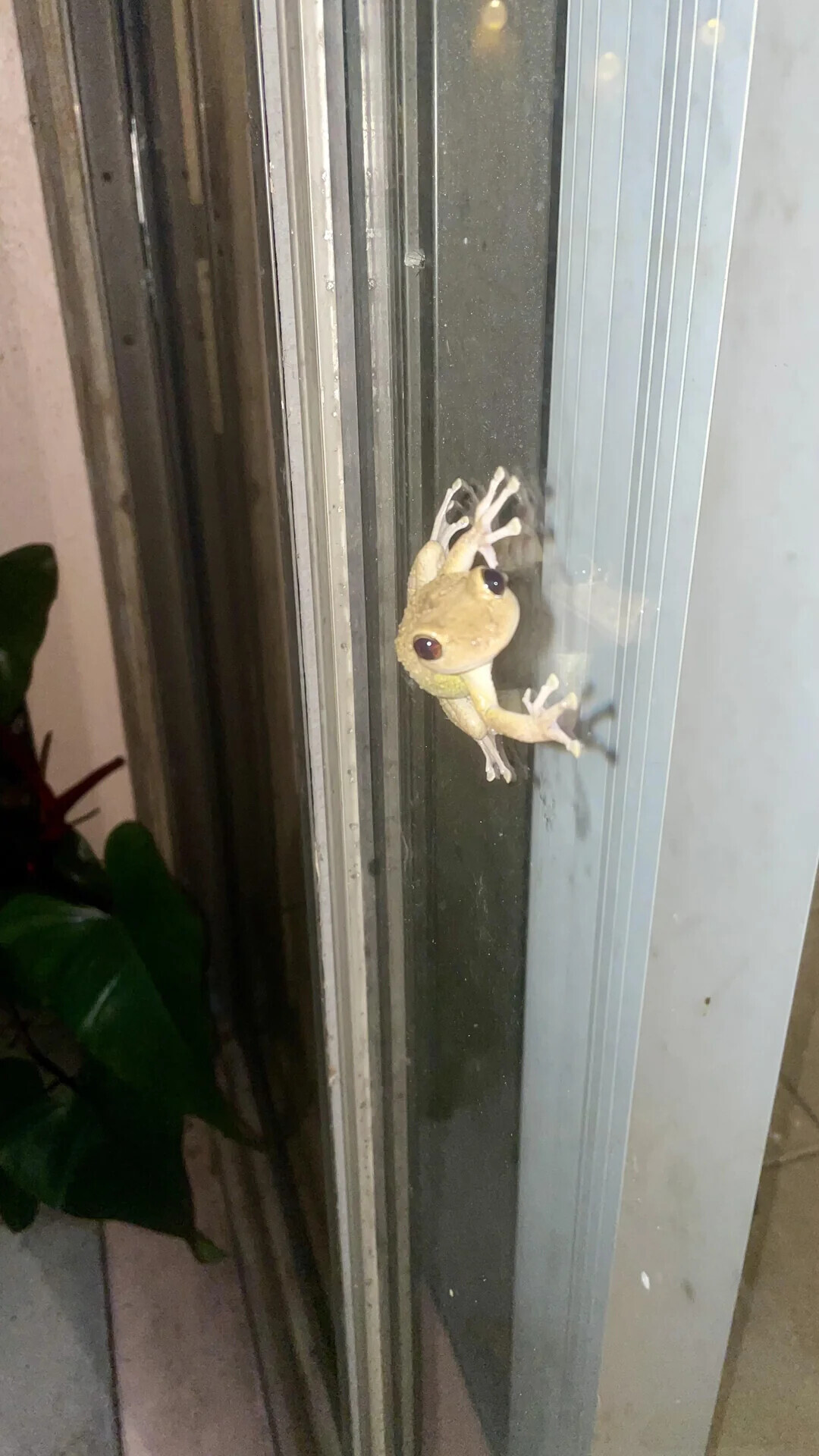 Unlikely Coincidences Captured in Real Life