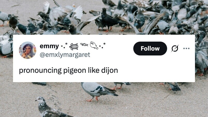 35 Tweets That Will Instantly Improve Your Day from Friday, March