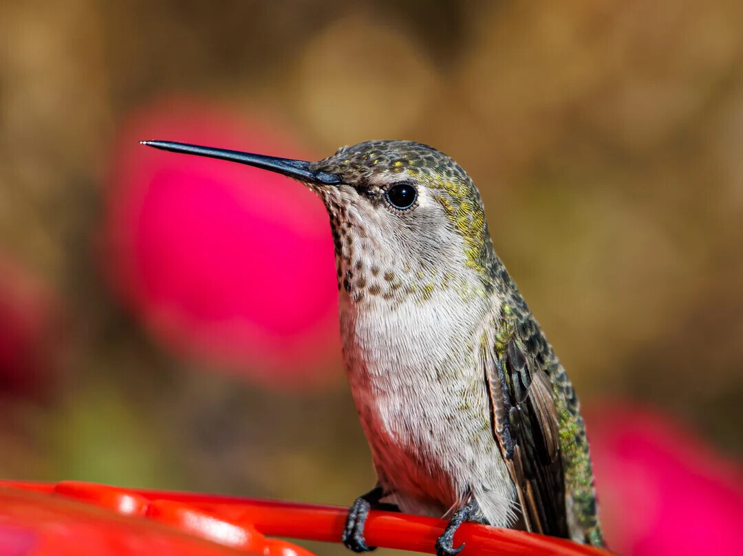 Unlikely Coincidences Captured in Real Life