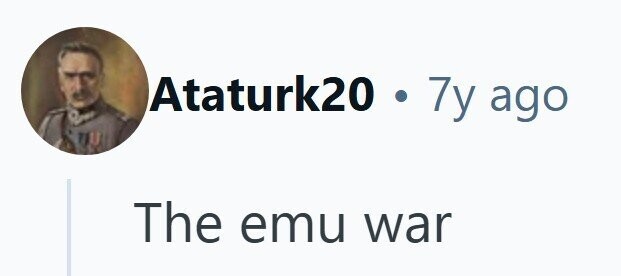 Ataturk20 .7y ago The emu war 