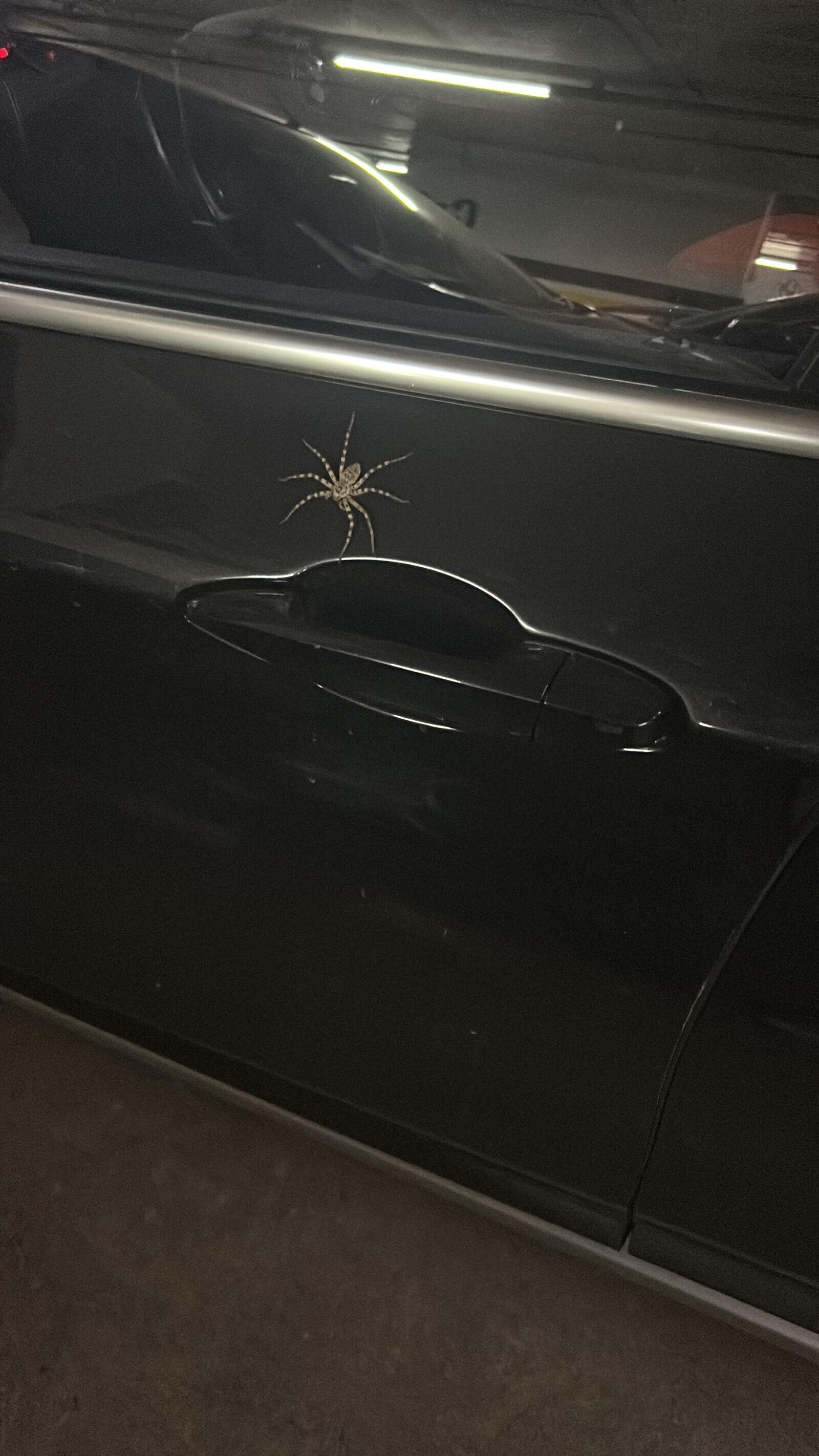 Unlucky People Who Should Have Gone Back to Bed