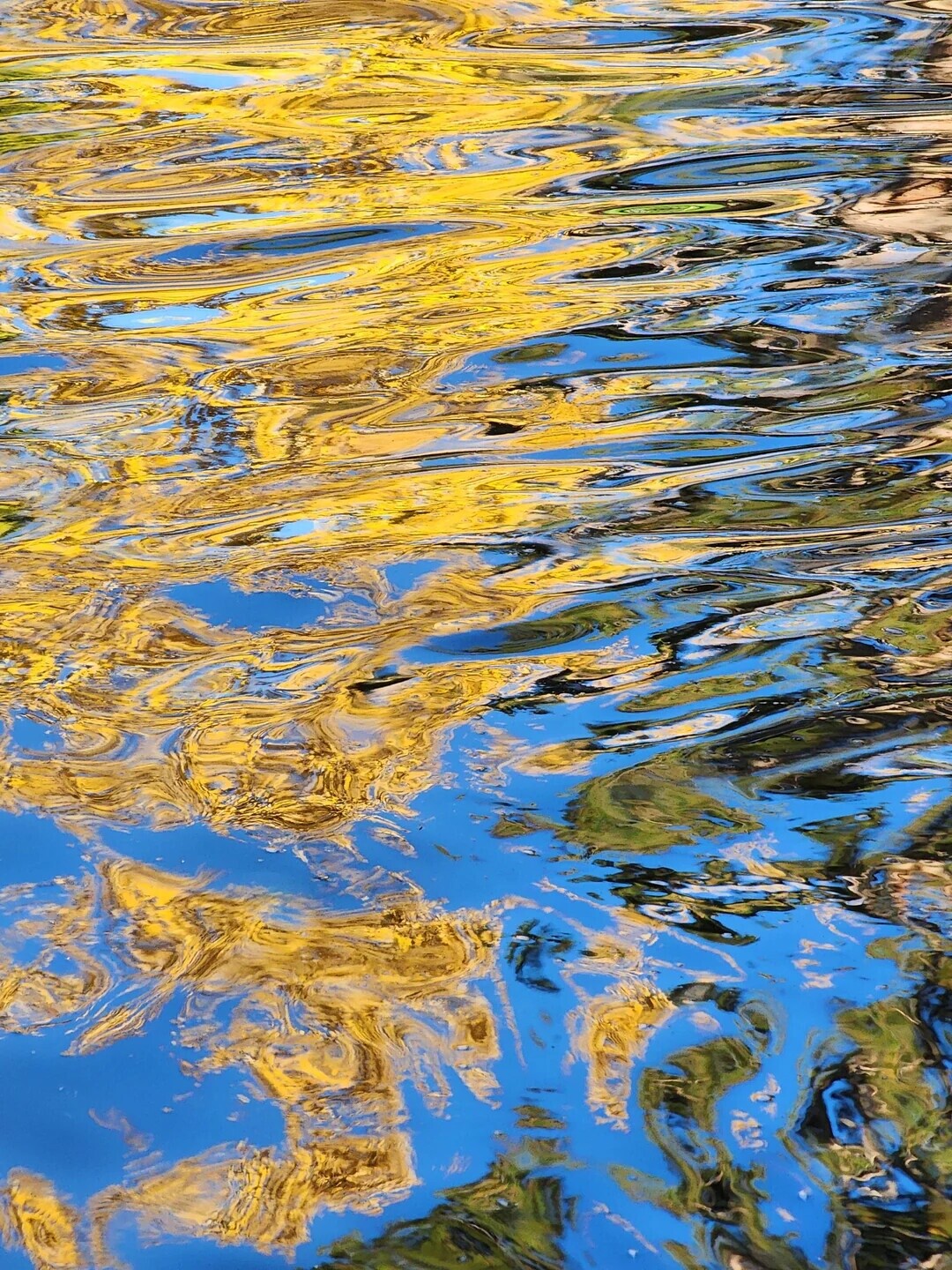 Unlikely Coincidences Captured in Real Life