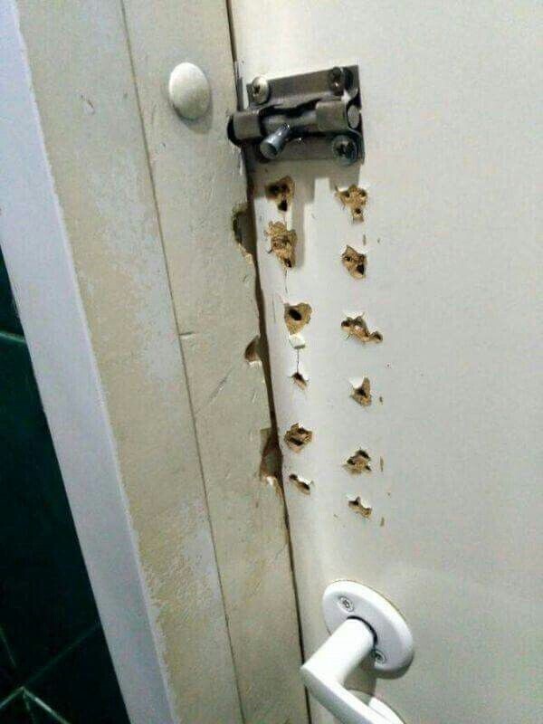 Tk People Who Should Have Just Hired a Professional