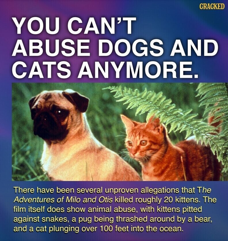 CRACKED YOU CAN'T ABUSE DOGS AND CATS ANYMORE. There have been several unproven allegations that The Adventures of Milo and Otis killed roughly 20 kittens. The film itself does show animal abuse, with kittens pitted against snakes, a pug being thrashed around by a bear, and a cat plunging over 100 feet into the ocean.