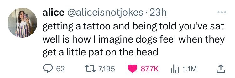 alice @aliceisnotjokes 23h ... getting a tattoo and being told you've sat well is how I imagine dogs feel when they get a little pat on the head 62 7,195 87.7K 1.1M