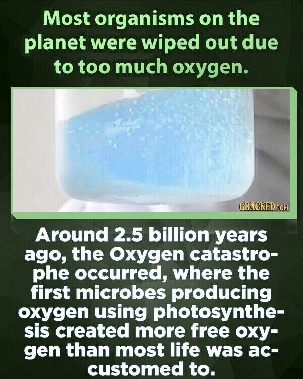 Most organisms on the planet were wiped out due to too much oxygen. CRACKED.COM Around 2.5 billion years ago, the Oxygen catastro- phe occurred, where the first microbes producing oxygen using photosynthe- sis created more free оху- gen than most life was ac- customed to.