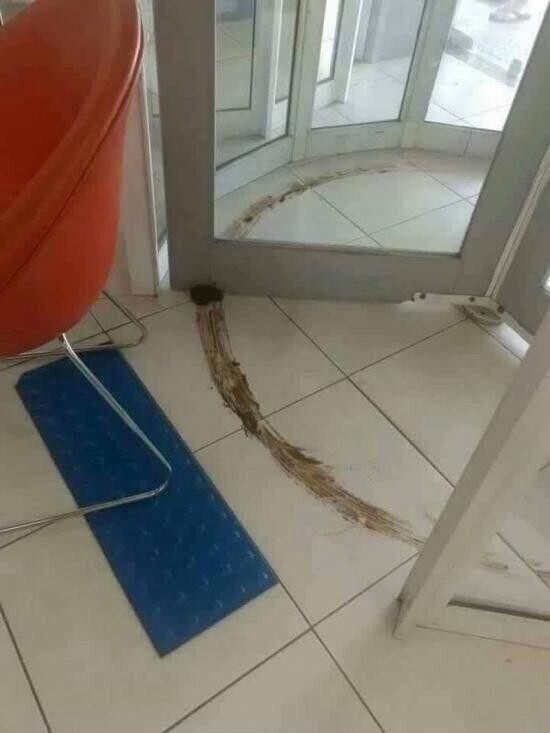 Unlucky People Who Should Have Gone Back to Bed