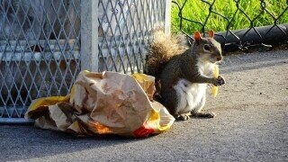 Candid Photos Peaking Into Life’s Most Real Moments